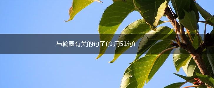 与翰墨有关的句子(实用51句),第1张
