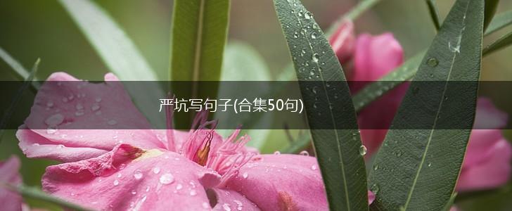 严坑写句子(合集50句),第1张