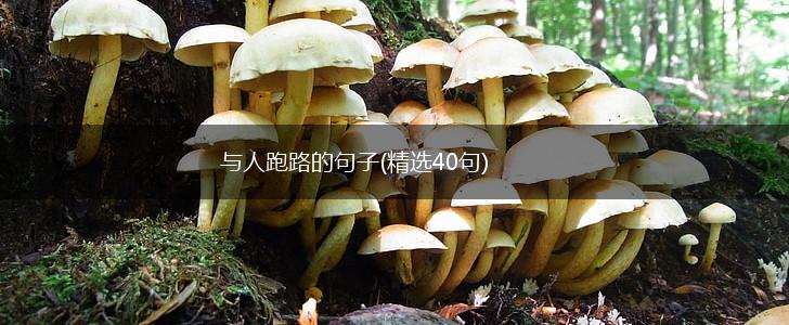与人跑路的句子(精选40句),第1张