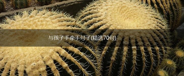 与孩子手牵手句子(精选70句),第1张