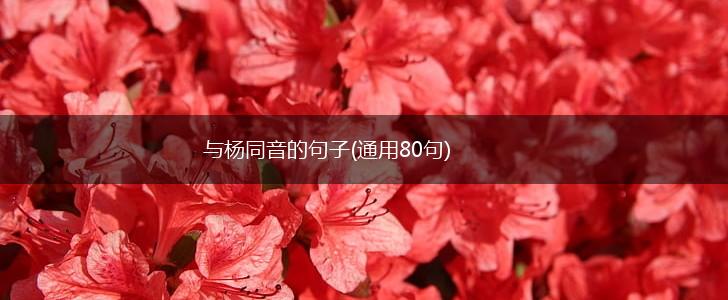 与杨同音的句子(通用80句),第1张