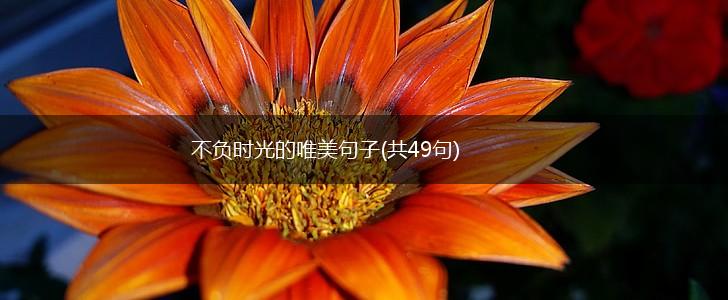 不负时光的唯美句子(共49句),第1张