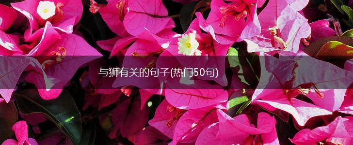 与狮有关的句子(热门50句),第1张