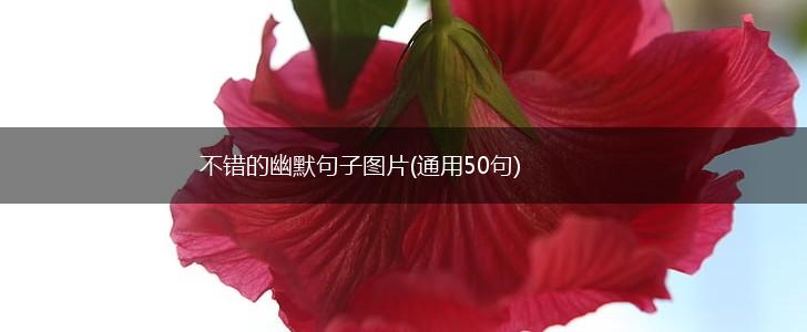 不错的幽默句子图片(通用50句),第1张
