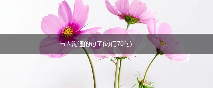与人沟通的句子(热门70句),第1张