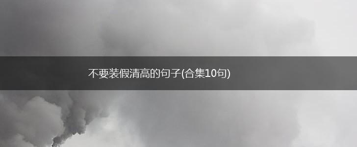 不要装假清高的句子(合集10句),第1张