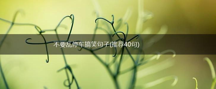 不要乱停车搞笑句子(推荐40句),第1张