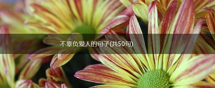 不辜负爱人的句子(共50句),第1张