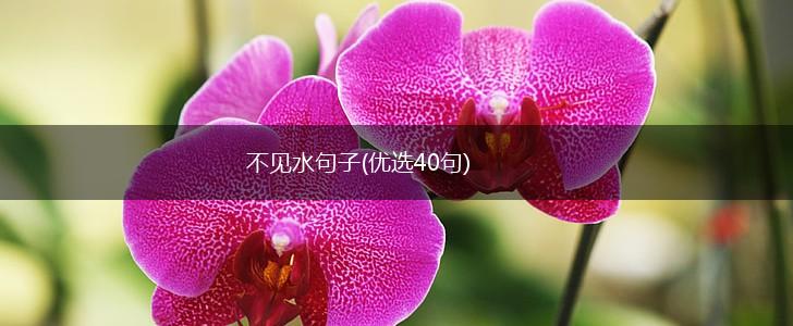 不见水句子(优选40句),第1张