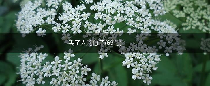 丢了人的句子(69句),第1张