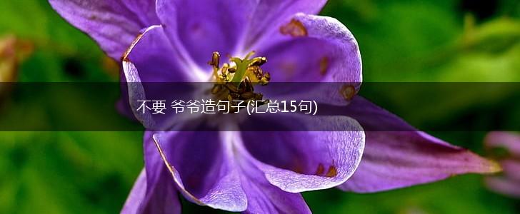 不要 爷爷造句子(汇总15句),第1张