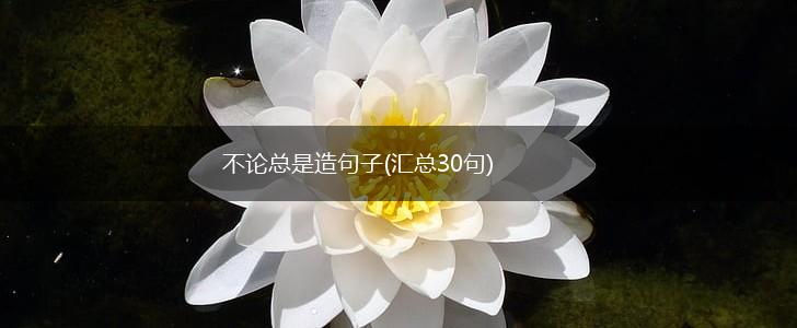 不论总是造句子(汇总30句),第1张