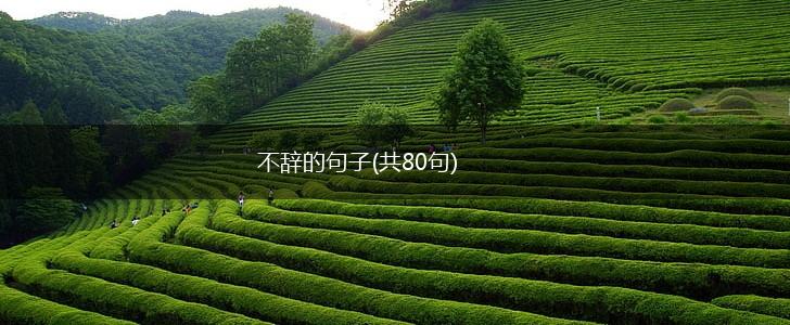不辞的句子(共80句),第1张