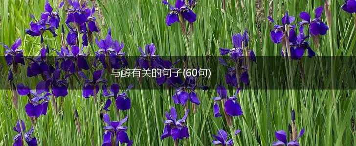 与醇有关的句子(60句),第1张