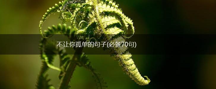 不让你孤单的句子(必备70句),第1张