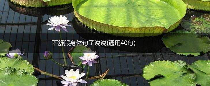 不舒服身体句子说说(通用40句),第1张