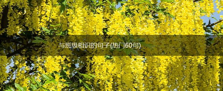 与班级相识的句子(热门60句),第1张