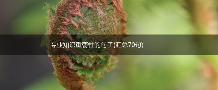 专业知识重要性的句子(汇总70句),第1张