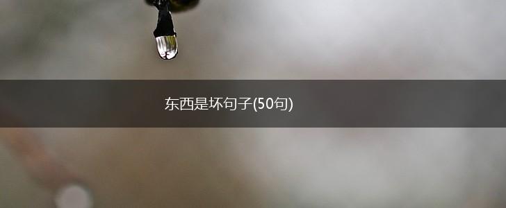 东西是坏句子(50句),第1张