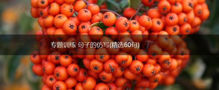 专题训练 句子的仿写(精选60句),第1张