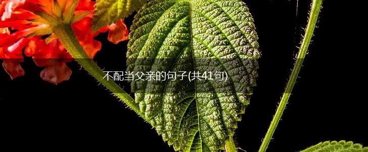 不配当父亲的句子(共41句),第1张