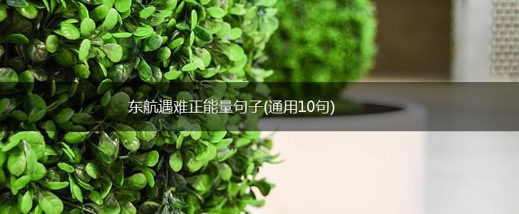 东航遇难正能量句子(通用10句),第1张