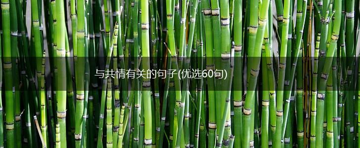 与共情有关的句子(优选60句),第1张