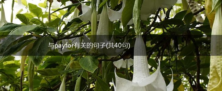 与payfor有关的句子(共40句),第1张
