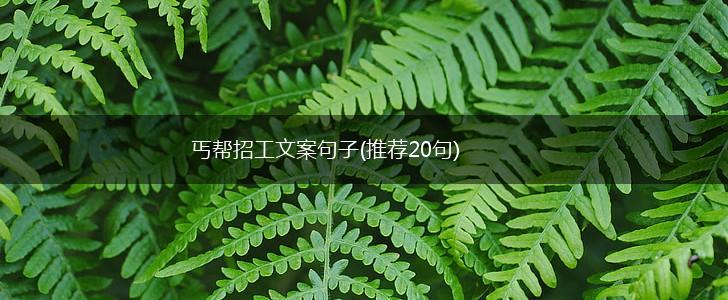 丐帮招工文案句子(推荐20句),第1张