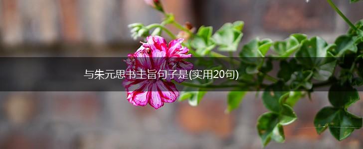 与朱元思书主旨句子是(实用20句),第1张