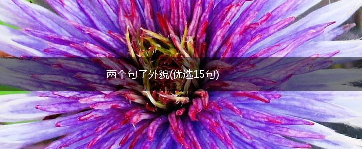 两个句子外貌(优选15句),第1张