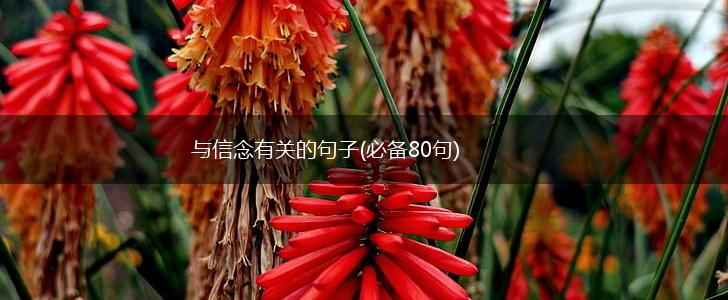 与信念有关的句子(必备80句),第1张