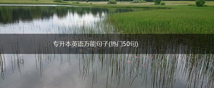 专升本英语万能句子(热门50句),第1张