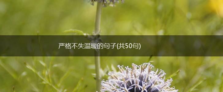 严格不失温暖的句子(共50句),第1张
