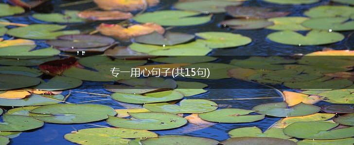 专一用心句子(共15句),第1张