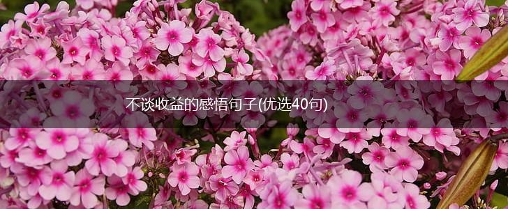 不谈收益的感悟句子(优选40句),第1张