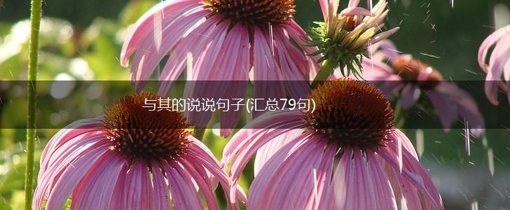 与其的说说句子(汇总79句),第1张