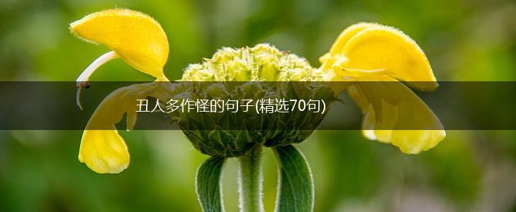 丑人多作怪的句子(精选70句),第1张