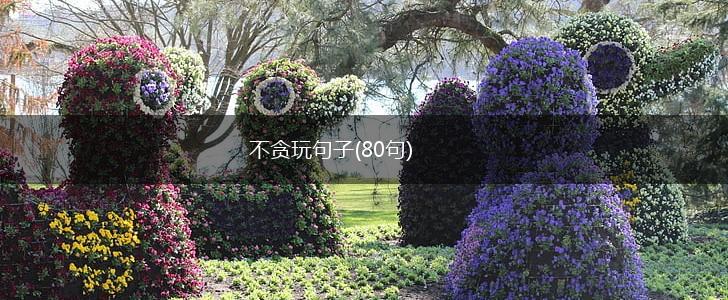 不贪玩句子(80句),第1张