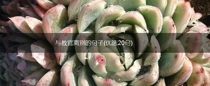 与教官离别的句子(优选20句),第1张