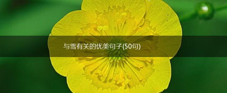 与雪有关的优美句子(50句),第1张