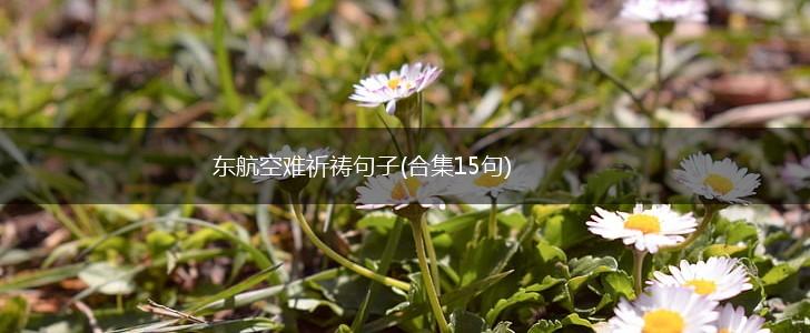 东航空难祈祷句子(合集15句),第1张