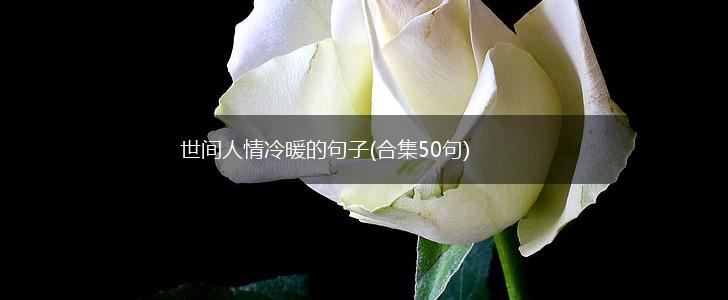 世间人情冷暖的句子(合集50句),第1张