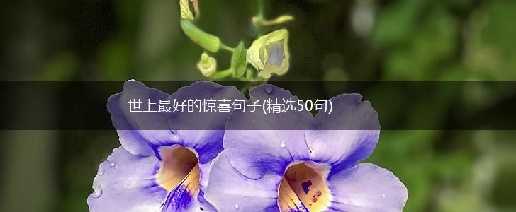 世上最好的惊喜句子(精选50句),第1张