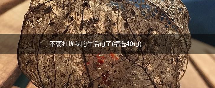 不要打扰我的生活句子(精选40句),第1张