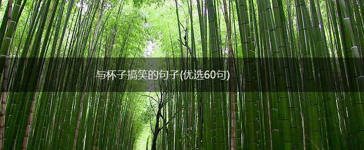 与杯子搞笑的句子(优选60句),第1张