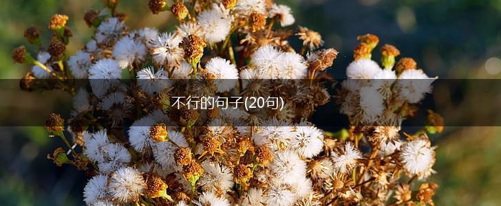 不行的句子(20句),第1张