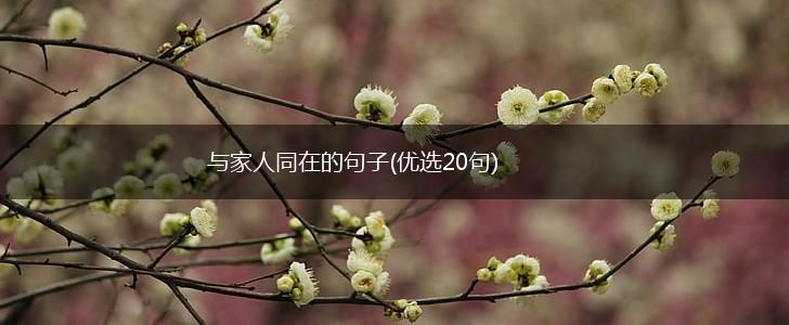 与家人同在的句子(优选20句),第1张