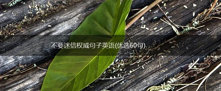 不要迷信权威句子英语(优选60句),第1张