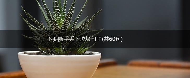 不要随手丢下垃圾句子(共60句),第1张
